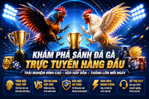 SẢNH ĐÁ GÀ TRỰC TUYẾN OK9,TRẬN ĐẤU KỊCH TÍNH – TỶ LỆ HẤP DẪN – CẬP NHẬT LIÊN TỤC