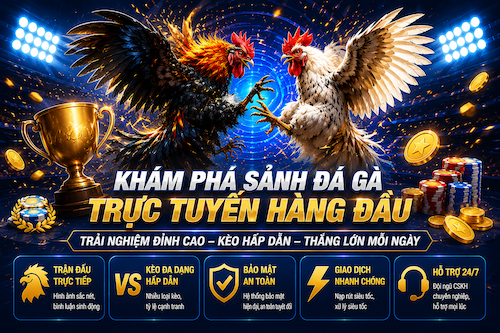 Đá Gà OK9 – Trải Nghiệm Chọi Kê Online Kịch Tính Cho Người Việt